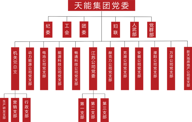 AG贵宾会建团党委组织架构